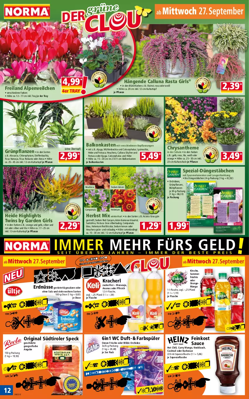 Aktueller Prospekt Norma - Norma - von 25.09 bis 02.10.2023 - strona 12 - produkty: Alpenveilchen, ananas, barbecue, bio, Blüte, Campanula, chia, chili, cocktail, curry, ente, erdnüsse, feinkost, Ficus, fisch, fische, flasche, früchte, gin, Grünpflanzen, Heu, hot chili, HP, kirsch, kirsche, knoblauch, kracher, kulturtopf, mac, mango, maracuja, orange, orchidee, orchideen, pfirsich, pflanze, pflanzen, salz, sauce, Schal, Schale, sim, Speck, Spezi, südtiroler, Ti, topf, tuc, übertopf, Wild, Yo, ZTE, zucker