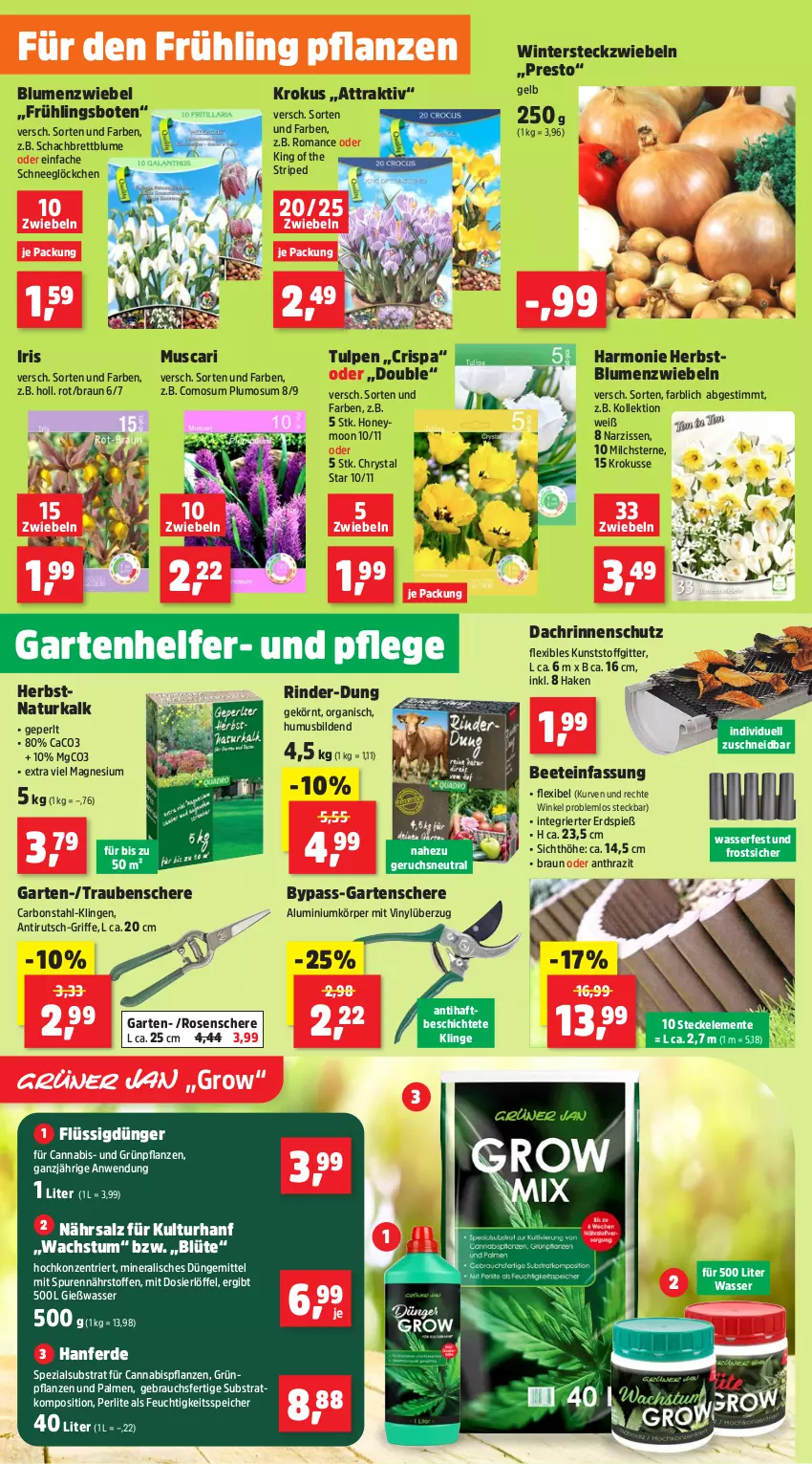 Aktueller Prospekt Thomas Philipps - von 09.09 bis 14.09.2024 - strona 2 - produkty: abis, blume, blumen, Blüte, braun, chrysanthemen, Draht, dünger, eis, ente, erde, flüssigdünger, Garten, Gartenschere, Grünpflanzen, Kalanchoe, kirsch, Kraut, Kugel, lavendel, Löffel, magnesium, milch, Narzissen, natur, pflanze, pflanzen, Rauch, reis, Ria, rind, rindenmulch, rinder, rosen, sac, salz, Schal, Schale, Schere, Spezi, Ti, topf, trauben, übertopf, usb, vita, vorteilspreis, wasser, zwiebel, zwiebeln