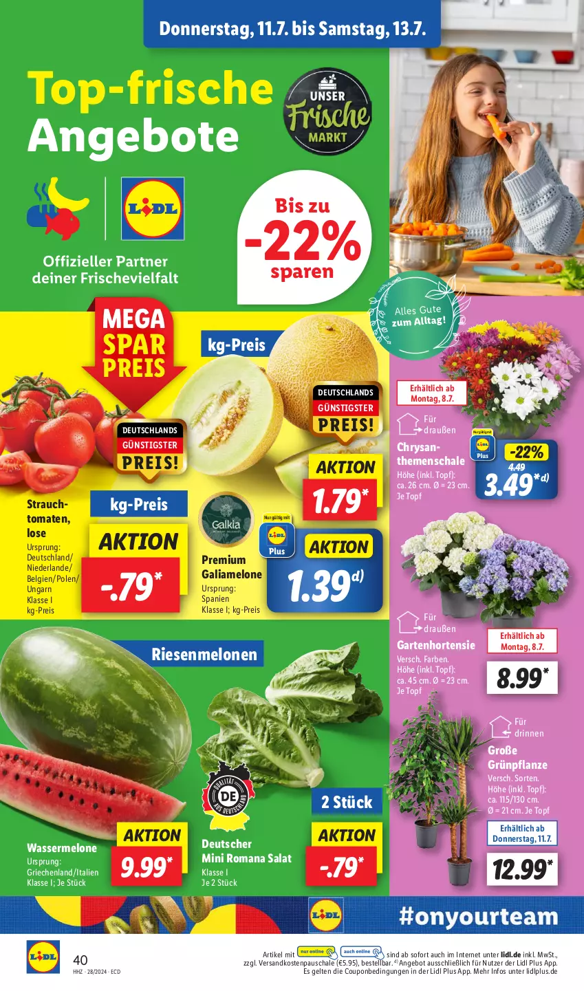 Aktueller Prospekt Lidl - Aktionsprospekt - von 08.07 bis 13.07.2024 - strona 52 - produkty: angebot, angebote, chrysanthemen, coupon, eis, galiamelone, Garten, hortensie, LG, melone, melonen, ndk, pflanze, Rauch, reis, salat, Schal, Schale, strauchtomaten, Ti, tomate, tomaten, topf, wasser, wassermelone