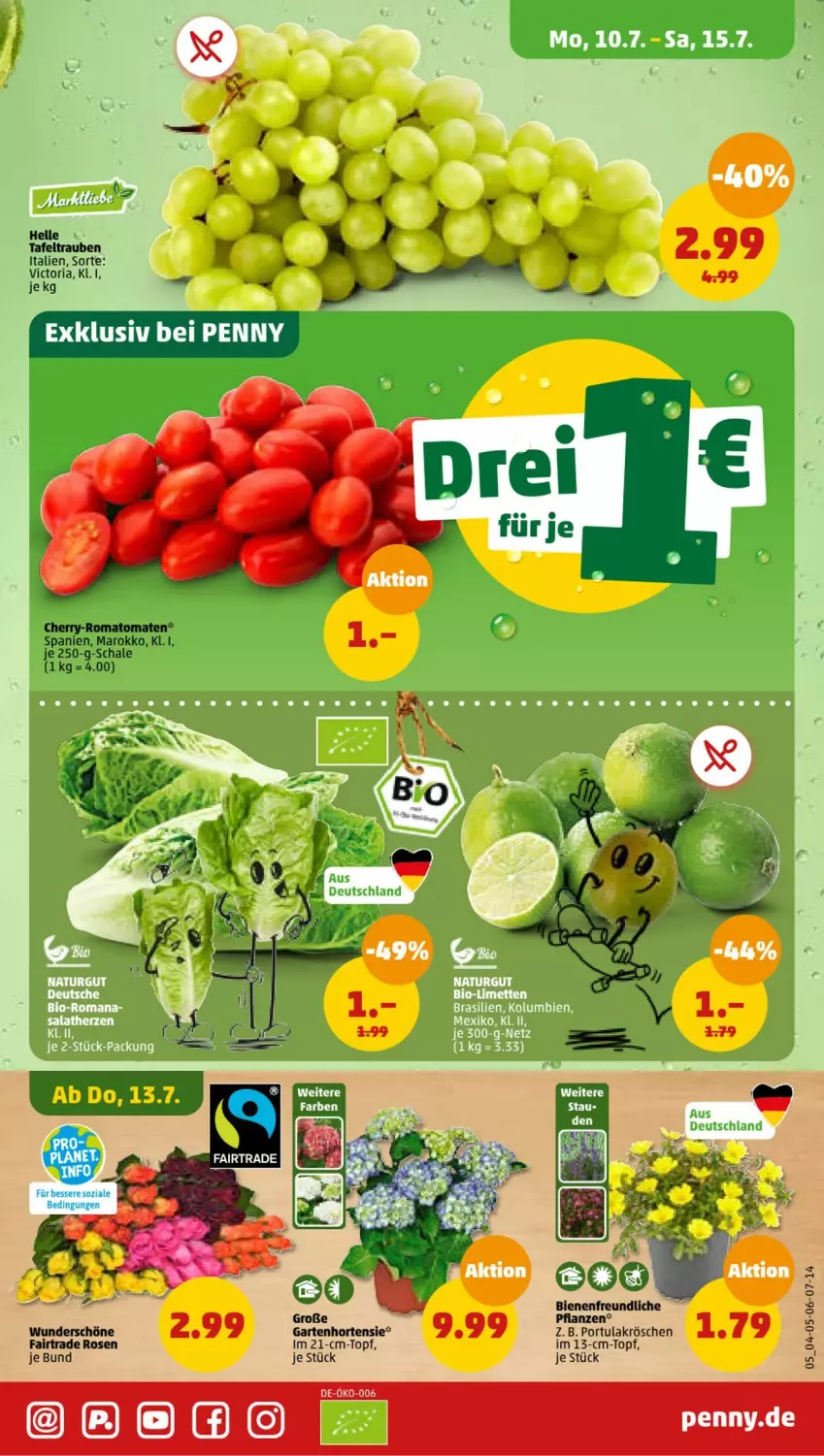 Aktueller Prospekt Penny - Prospekte - von 10.07 bis 15.07.2023 - strona 5 - produkty: elle, Garten, hortensie, Ria, Romatomaten, rosen, Schal, Schale, tafeltrauben, tomate, tomaten, topf, trauben