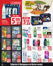 Gazetka promocyjna Edeka - Angebote der Woche - Gazetka - ważna od 26.08 do 26.08.2023 - strona 14 - produkty: alleinfuttermittel, Alwa, beutel, bio, bürste, creme, deka, deo, deospray, duschdas, duschgel, einwegrasierer, eis, felix, flasche, frucht, fruchtsaft, fruchtsäfte, fuze tea, gerolsteine, gerolsteiner, geschirr, geschirrspülmittel, glasflasche, handschuhe, Happy Day, limo, mineralwasser, Mineralwasser Classic, natur, Nektar, nestlé, nuss, portionsbeutel, purina, rasierer, Rauch, reis, rel, Ria, saft, säfte, schauma, schauma shampoo, schuhe, sensodyne, shampoo, shampoo oder spülung, Softlan, spülmittel, spülung, steiner, tee, Tena Lady, Ti, tiefpreis, top-preis, valensina, vitrex, wasser, weichspüler, wilkinson, zahnbürste, zahncreme, ZTE