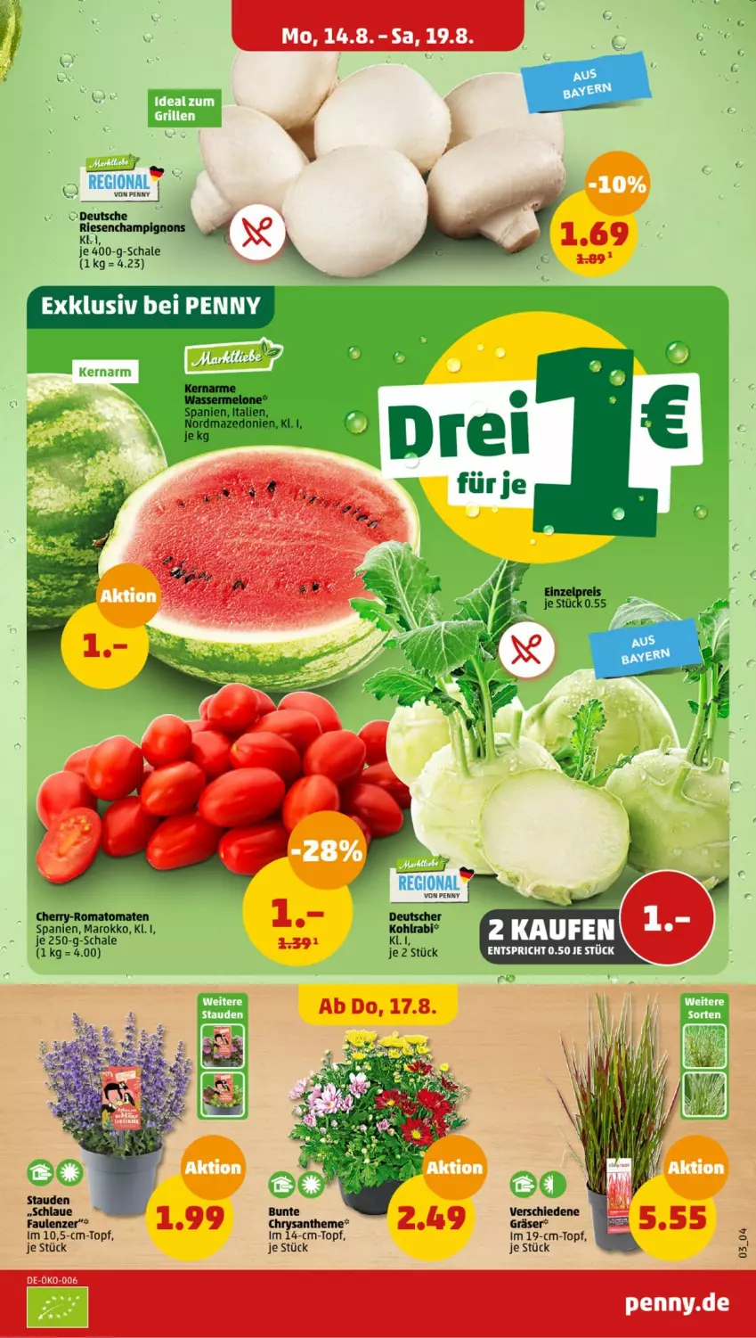 Aktueller Prospekt Penny - Prospekte - von 14.08 bis 19.08.2023 - strona 3 - produkty: champignon, champignons, eis, kohlrabi, melone, reis, Romatomaten, Schal, Schale, stauden, tomate, tomaten, topf, wasser, wassermelone