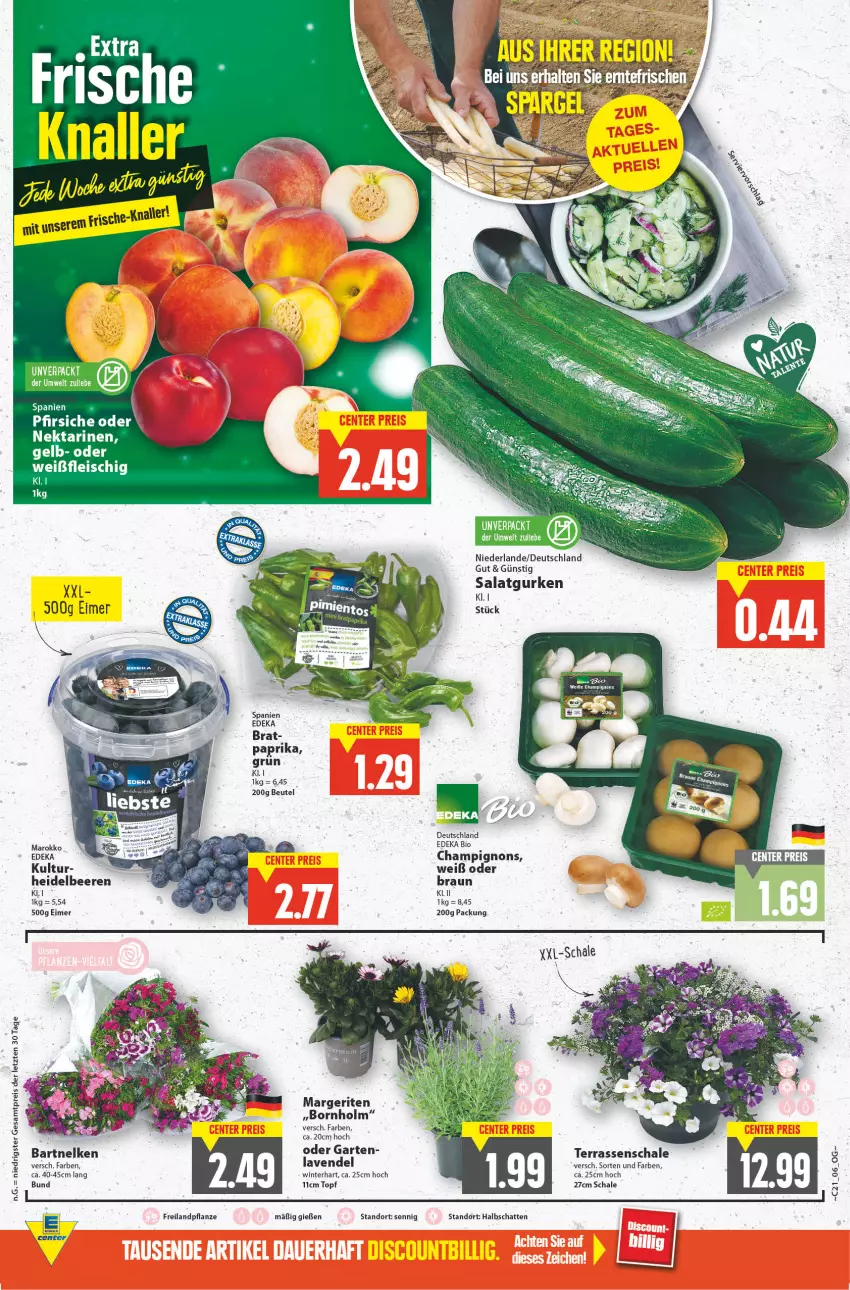 Aktueller Prospekt E Center - Angebote der Woche - von 23.05 bis 28.05.2022 - strona 6 - produkty: beere, beeren, beutel, bio, braun, champignon, champignons, deka, edeka bio, eimer, eis, ente, fleisch, Garten, gurke, gurken, heidelbeere, heidelbeeren, lavendel, Nektar, nektarinen, paprika, pfirsich, pfirsiche, pfirsiche oder, pflanze, reis, salat, Salatgurke, salatgurken, Schal, Schale, Ti, topf, ZTE