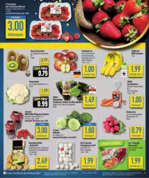 Gazetka promocyjna Diska - Gazetka - ważna od 06.04 do 06.04.2024 - strona 6 - produkty: aktionspreis, ball, banane, bananen, Becher, blume, blumen, blumenkohl, champignon, champignons, deka, discount, eis, elle, feinschmecker, kartoffel, kartoffeln, kiwi, kohlrabi, lion, möhren, pflaume, pflaumen, Pflaumen-Tomaten, radieschen, reis, rel, salat, snack, speisekartoffeln, tafeläpfel, Ti, tomate, tomaten