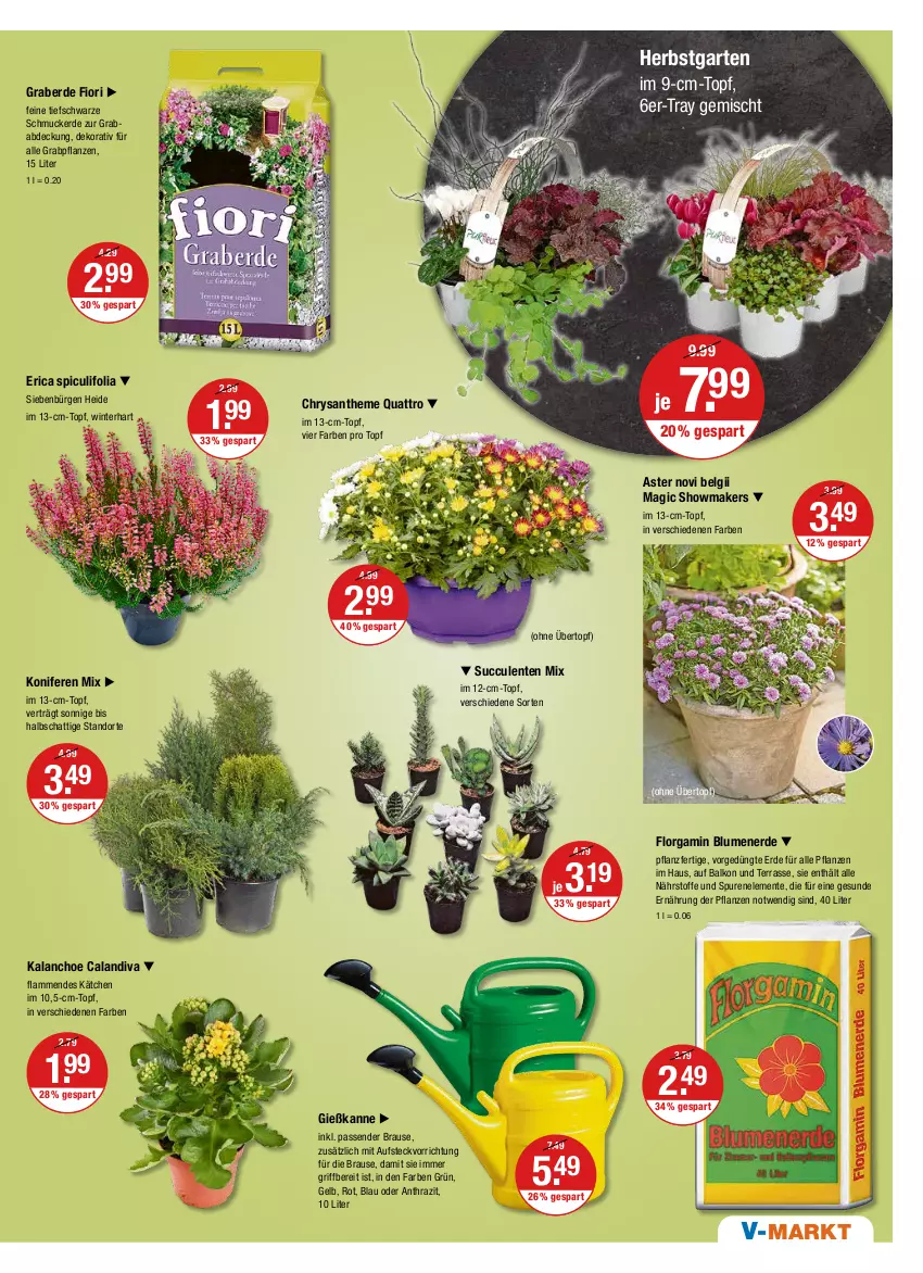 Aktueller Prospekt Vmarkt - V-Markt - von 22.09 bis 28.09.2022 - strona 15 - produkty: blume, blumen, blumenerde, brause, ente, erde, Garten, Gießkanne, im 9-cm-topf, Kalanchoe, Konifere, lamm, LG, pflanze, pflanzen, Schmuck, Ti, topf, übertopf