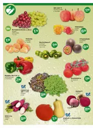 Gazetka promocyjna Vmarkt - V-Markt - Gazetka - ważna od 28.09 do 28.09.2022 - strona 4 - produkty: beere, beeren, bio, butter, Feigen, früchte, kiwi, Kürbis, paprika, Rauch, Rettich, rote bete, salat, Schal, Schale, strauchtomaten, Ti, tomate, tomaten, trauben