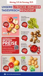 Gazetka promocyjna AldiSud - NÄCHSTE WOCHE - Gazetka - ważna od 10.09 do 10.09.2022 - strona 2 - produkty: aldi, angebot, beutel, bio, braun, champignon, champignons, champignons braun, datteltomaten, decke, eimer, eis, grapefruit, kartoffel, kartoffeln, kracher, natur, reis, Schal, Schale, sim, simba, speisekartoffeln, Ti, tomate, tomaten, trauben, ZTE