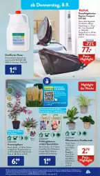 Gazetka promocyjna AldiSud - NÄCHSTE WOCHE - Gazetka - ważna od 10.09 do 10.09.2022 - strona 23 - produkty: aldi, alle artikel ohne dekoration, Bau, blume, blumen, Blüte, bügel, Bügelstation, dampfbügelstation, decke, dekoration, eis, elle, flieder, gardenline®, Garten, gin, hortensie, kaffee, kulturtopf, Mett, Narzissen, ndk, pflanze, pflanzen, reis, Schmetterling, Spezi, Ti, topf, übertopf, wasser, ZTE, zwiebel