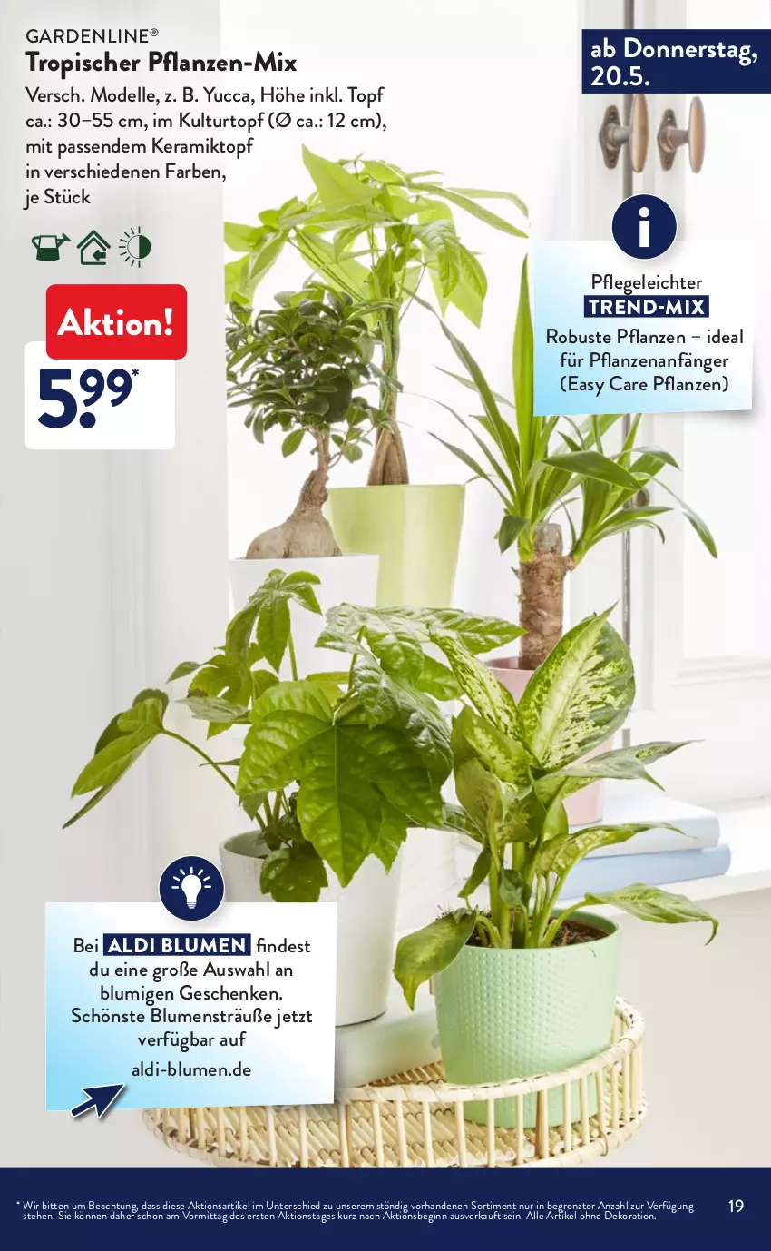 Aktueller Prospekt AldiSud - ALDI Sortiment - von 01.05 bis 31.05.2021 - strona 19