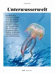 Gazetka promocyjna Dm Drogerie - Prospekte - Gazetka - ważna od 31.08 do 31.08.2024 - strona 6 - produkty: Alverde, erde, rwe, Ti, wasser