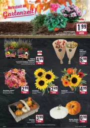 Gazetka promocyjna E Center - Angebote der Woche - Gazetka - ważna od 30.09 do 30.09.2023 - strona 6 - produkty: Abtei, Alpenveilchen, blume, blumen, Blumenstrauß, korb, Kürbis, pflanze, pflanzen, Ria, Schal, Schale, sonnenblume, sonnenblumen, Ti, topf