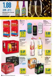 Gazetka promocyjna Diska - Prospekte - Gazetka - ważna od 31.12 do 31.12.2021 - strona 14 - produkty: alkohol, beck's, bier, coca-cola, cola, drink, energy drink, fanta, fanta oder, flasche, getränk, Kinder, limo, limonade, monster, robby, sac, schöfferhofer, schweppes, sprite, Sternburg, Ti