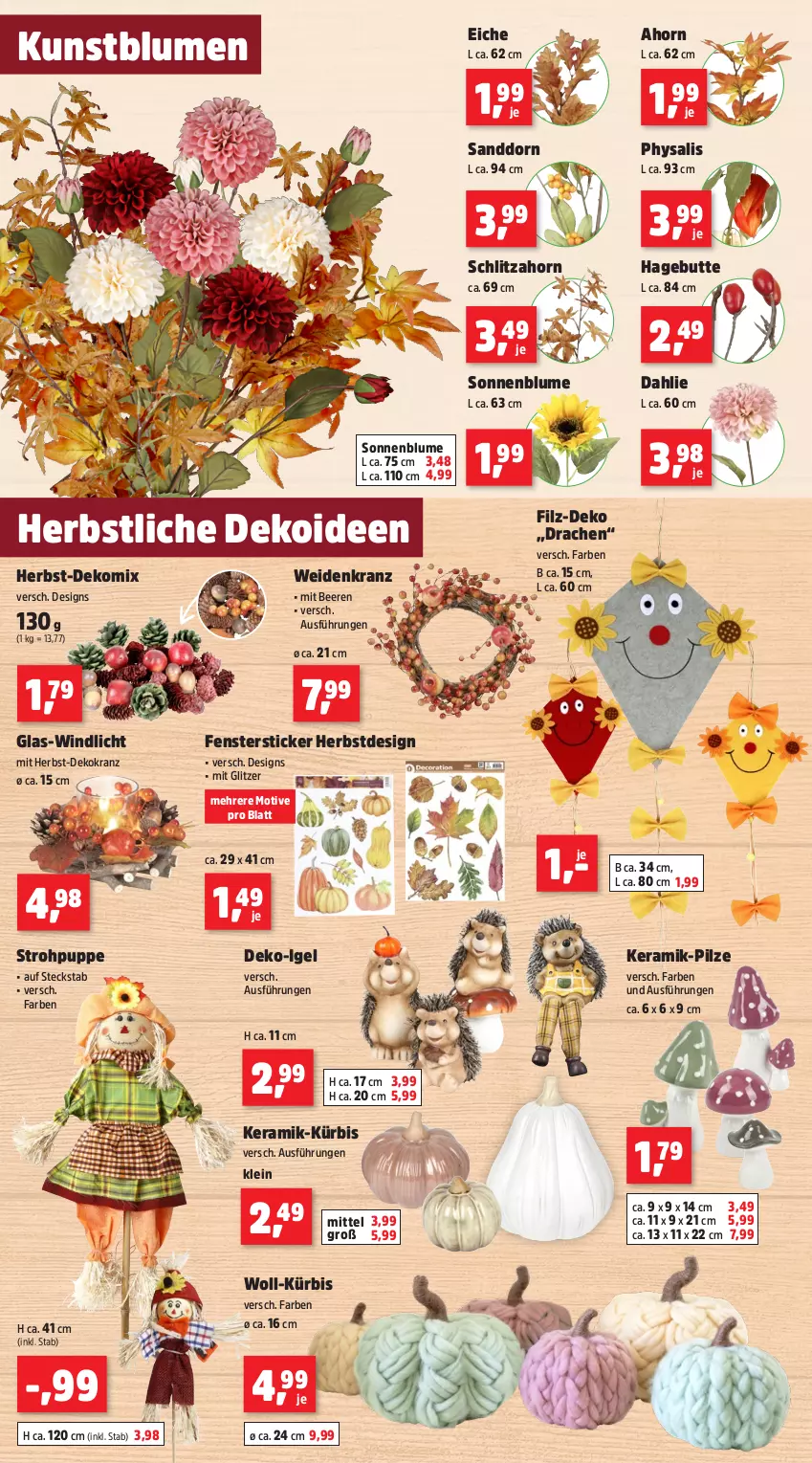 Aktueller Prospekt Thomas Philipps - von 26.08 bis 31.08.2024 - strona 4 - produkty: beere, beeren, blume, blumen, dahlie, fenster, HP, Kranz, Kunstblume, Kürbis, Physalis, pilze, Puppe, sanddorn, sonnenblume, Ti, windlicht