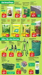 Gazetka promocyjna Thomas Philipps - Gazetka - ważna od 31.08 do 31.08.2024 - strona 3 - produkty: blume, blumen, blumenerde, bügel, bürste, Draht, dünger, eis, erde, Fugenbürste, Garten, Gartenschere, heckenschere, kartoffel, kartoffeln, korb, kraft, Kraut, LG, magnesium, Mantel, natur, obst, pflanze, pflanzerde, rasen, Rasenerde, Rauch, reis, rind, rinder, rosen, sac, Schere, Sport, Ti, Tiere, topf, Topfen, tragegriff, vorteilspreis, wasser