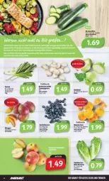 Gazetka promocyjna Markant - Prospekte - Gazetka - ważna od 24.02 do 24.02.2024 - strona 4 - produkty: beere, beeren, beutel, bio, champignon, champignons, goldmarie, gutes essen, heidelbeere, heidelbeeren, kohlrabi, mandarine, mandarinen, mango, mangos, salat, salatherzen, Schal, Schale, Ti, zucchini