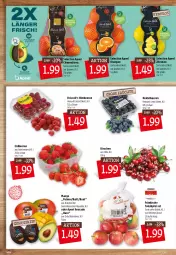 Gazetka promocyjna Kupsch - Angebote der Woche - Gazetka - ważna od 25.12 do 25.12.2021 - strona 8 - produkty: auer, avocado, beere, beeren, clementinen, erdbeere, erdbeeren, heidelbeere, heidelbeeren, himbeer, himbeere, himbeeren, kirsch, kirsche, kirschen, mango, nuss, obst, orange, orangen, Schal, Schale, tafeläpfel, Ti, zitrone, zitronen