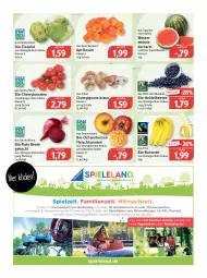 Gazetka promocyjna Feneberg - Prospekte - Gazetka - ważna od 02.07 do 02.07.2022 - strona 5 - produkty: aprikose, aprikosen, banane, bananen, Bau, beere, beeren, bio, bio-bananen, braun, burger, champignon, champignons, champignons braun, cherrytomaten, eis, Elan, ente, erde, fleisch, frucht, fruchtfleisch, heidelbeere, heidelbeeren, Kugel, Kugelbahn, mac, melone, ravensburger, reis, salat, Schal, Schale, Spiele, Ti, tomate, tomaten, wasser, wassermelone