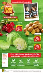 Gazetka promocyjna Lidl - Aktionsprospekt - Gazetka - ważna od 17.03 do 17.03.2023 - strona 8 - produkty: angebot, discount, eis, eisbergsalat, ente, frucht, Frühkartoffeln, kartoffel, kartoffeln, magazin, obst, Obst und Gemüse, radieschen, reis, salat, speisefrühkartoffeln, Ti, und gemüse