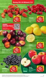 Gazetka promocyjna Lidl - Aktionsprospekt - Gazetka - ważna od 17.03 do 17.03.2023 - strona 9 - produkty: Abtei, beere, beeren, bio, bioland, discount, eis, erdbeere, erdbeeren, heidelbeere, heidelbeeren, himbeer, himbeere, himbeeren, pflaume, pflaumen, reis, Ti, zitrone, zitronen