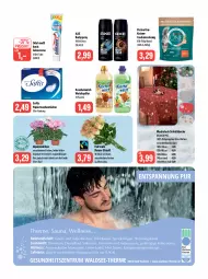 Gazetka promocyjna Feneberg - Prospekte - Gazetka - ważna od 04.11 do 04.11.2023 - strona 10 - produkty: Alpenveilchen, axe, beutel, body, bodyspray, creme, decke, eis, elle, flasche, Kuschelweich, LG, Odol, odol med, odol med3, papier, purina, reis, Ria, rosen, Tasche, taschen, taschentücher, Ti, topf, Trockennahrung, tuc, tücher, wachstuch, weichspüler, zahncreme