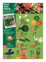 Gazetka promocyjna Feneberg - Prospekte - Gazetka - ważna od 04.11 do 04.11.2023 - strona 6 - produkty: ananas, Bau, beere, beeren, bio, Bio-Paprika, brokkoli, discount, eintöpfe, ente, fenchel, gurke, heidelbeere, heidelbeeren, ilag, LG, mac, obst, Obst und Gemüse, paprika, paprika mix, ritter, rwe, saft, salat, Schal, Schale, spitzkohl, suppe, suppen, Ti, trolli, und gemüse, Wirsing