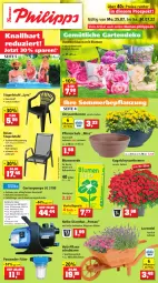 Gazetka promocyjna Thomas Philipps - Prospektwerbung - Gazetka - ważna od 30.07 do 30.07.2022 - strona 1 - produkty: blume, blumen, blumenerde, Blüte, chrysanthemen, eis, erde, Garten, Gartenpumpe, Holz, kissen, Kugel, lamm, lavendel, pflanze, pflanzen, reis, rel, sac, Schal, Schale, stapelstuhl, stuhl, Ti, vorteilspreis, wasser