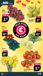 Gazetka promocyjna Netto - Angebote ab Montag - Gazetka - ważna od 26.02 do 26.02.2022 - strona 2 - produkty: Birnen, cocktail, kohlrabi, Narzissen, Primeln, rispentomaten, Ti, tomate, tomaten, topf, trauben