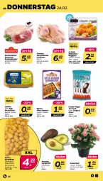 Gazetka promocyjna Netto - Angebote ab Montag - Gazetka - ważna od 26.02 do 26.02.2022 - strona 22 - produkty: avocado, braten, eis, Kalanchoe, kartoffel, kartoffeln, Kinder, kinder pingui, krustenbraten, nuggets, nuss, Ofen, patros, pingui, Rostocker, schnitten, schwein, schweine, speisekartoffeln, Ti, topf, wein, weine