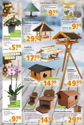 Gazetka promocyjna  - Prospekt für Globus Baumarkt  Achern - Gazetka - ważna od 17.12 do 17.12.2022 - strona 5 - produkty: auer, beutel, blume, blumen, Blüte, decke, Deckel, eis, elle, Holz, hörnchen, nerf, orchidee, orchideen, pavillon, pflanze, phalaenopsis, Ria, sonnenblume, sonnenblumen, Sonnenblumenkerne, Ti, topf, Vogelfutter, Wild