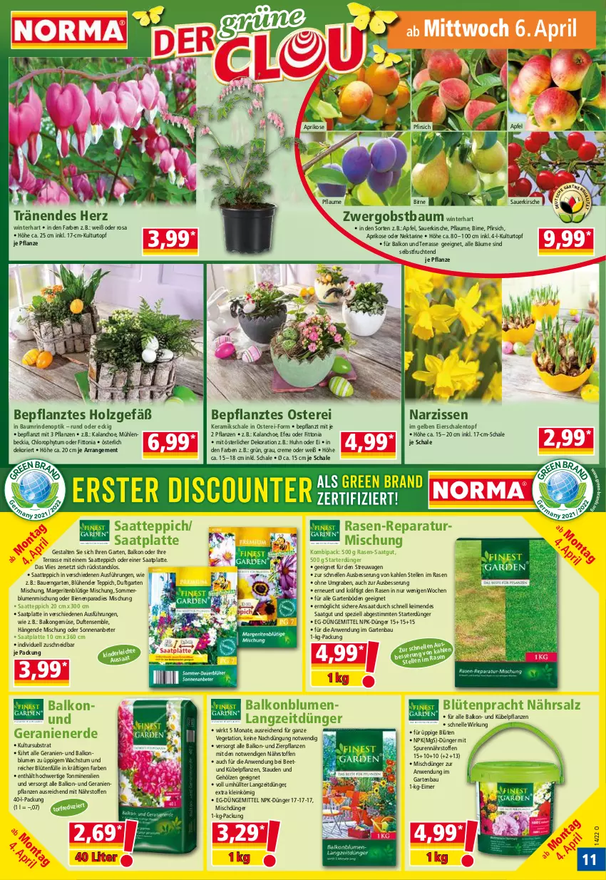 Aktueller Prospekt Norma - Norma - von 04.04 bis 11.04.2022 - strona 11 - produkty: apfel, aprikose, auer, Bau, Bauer, blume, blumen, Blüte, creme, dekoration, dünger, eier, eimer, elle, erde, frucht, Garten, geranie, geranien, Geranienerde, Holz, Kalanchoe, Kinder, kirsch, kirsche, kübelpflanzen, kulturtopf, latte, Narzissen, Nektar, obst, pfirsich, pflanze, pflanzen, pflaume, pril, rasen, rind, salz, Schal, Schale, Spezi, stauden, teppich, Ti, topf, usb, Vegeta, ZTE