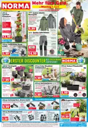 Gazetka promocyjna Norma - Norma - Gazetka - ważna od 11.04 do 11.04.2022 - strona 1 - produkty: adapter, asti, Bebe, Behälter, bio, blume, blumen, boss, braun, brause, eis, elle, Finish, Fleecejacke, Garten, Gartenschere, gin, Hängetopf, henkel, hose, Jacke, Kugel, LG, natur, ndk, pflanze, pflanzen, Pflanzkasten, pril, rasen, reis, schenkel, Schere, schlauch, schuhe, Tasche, taschen, Ti, Tipi, tisch, tomate, tomaten, topf, Untersetzer, wasser, wassertank, ZTE