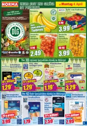 Gazetka promocyjna Norma - Norma - Gazetka - ważna od 11.04 do 11.04.2022 - strona 9 - produkty: aqua, banane, bananen, Becher, bier, eier, eintöpfe, eis, elle, erbsen, erde, filet, filets, fisch, forelle, frischkäse, Geflügel, kartoffel, kartoffeln, Kartoffelsuppe, Käse, kuchen, kühlregal, lachs, LG, linsen, mac, Meerwasser, natur, obst, Obst und Gemüse, Pfannkuchen, pfeffer, pril, Räucherlachs, regal, reis, rel, rwe, sac, salat, schnittkäse, schott, speisekartoffeln, Speisezwiebeln, Spezi, suppe, Ti, tiefpreis, tisch, und gemüse, wasser, zwiebel, zwiebeln