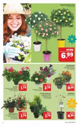 Gazetka promocyjna Marktkauf - Prospekt - Gazetka - ważna od 24.04 do 24.04.2021 - strona 4 - produkty: beere, beetpflanzen, Blaubeer, blaubeere, geranie, petunie, petunien, pflanze, pflanzen, Rauch, Surf, topf