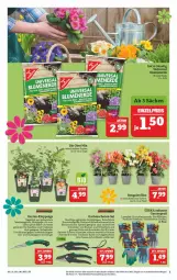 Gazetka promocyjna Marktkauf - Prospekt - Gazetka - ważna od 24.04 do 24.04.2021 - strona 5 - produkty: bio, blume, blumen, Blüte, boss, deka, eimer, eis, elle, Garten, Gartenschere, Holz, leine, obst, pflanze, pflanzen, reis, säge, Schere, Spezi, teller, Ti, topf, werkzeug