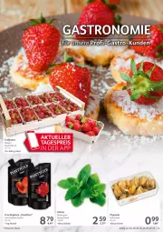 Gazetka promocyjna Selgros - Food - Gazetka - ważna od 06.07 do 06.07.2022 - strona 21 - produkty: beere, beutel, eis, erdbeere, frucht, minze, Physalis, püree, reis, Schal, Schale, Ti