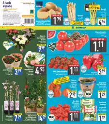 Gazetka promocyjna E Center - Angebote der Woche - Gazetka - ważna od 03.06 do 03.06.2023 - strona 4 - produkty: auer, Bau, Bauer, beutel, bio, bonduelle, coupon, coupons, deka, deutschlandcard, eis, elle, ente, erde, fleisch, Frühkartoffeln, Garten, hortensie, hortensien, kartoffel, kartoffeln, kopfsalat, kräuter, kräutern, LG, mini-rispentomaten, nuss, obst, Obst und Gemüse, paprika, paprika rot, Passiflora, petersilie, Pfingstrosen, pflanze, pflanzen, pflaume, pflaumen, reis, ring, rispentomaten, rosen, Rosenstrauß, salat, spargel, spargel grün, speisefrühkartoffeln, super-knüller, Ti, tomate, tomaten, topf, und gemüse, ZTE