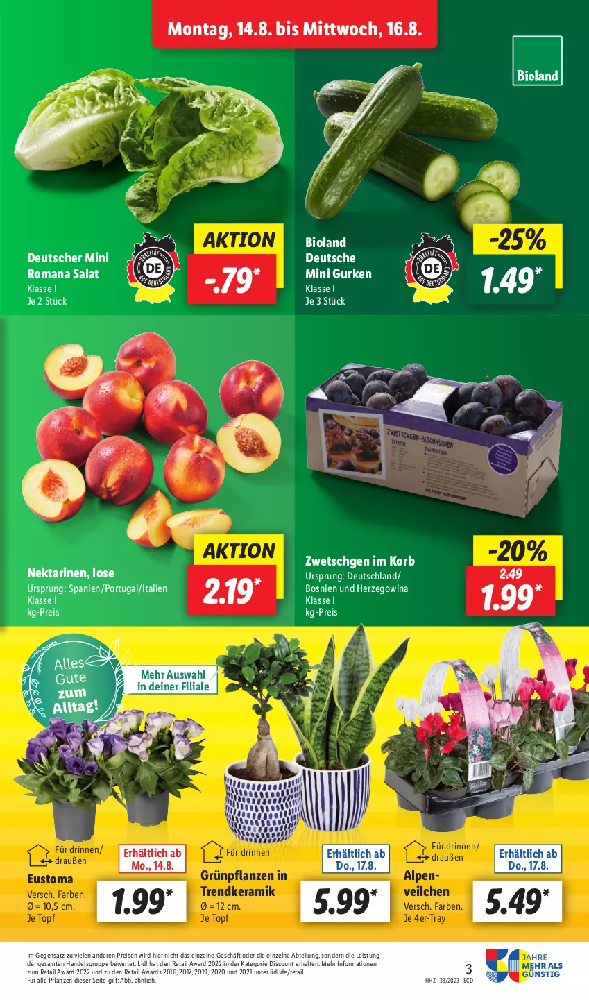 Aktueller Prospekt Lidl - Aktionsprospekt - von 14.08 bis 19.08.2023 - strona 3 - produkty: Abtei, bio, bioland, discount, eis, Grünpflanzen, gurke, gurken, korb, ndk, Nektar, nektarinen, pflanze, pflanzen, reis, salat, Ti, topf