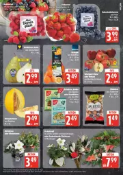 Gazetka promocyjna Edeka - Prospekte - Gazetka - ważna od 25.10 do 25.10.2024 - strona 5 - produkty: beere, beeren, eis, erdbeere, erdbeeren, heidelbeere, heidelbeeren, himbeer, himbeere, himbeeren, Kugel, reis, Ti, ZTE