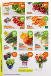 Gazetka promocyjna Tegut - Angebote der Woche - Gazetka - ważna od 12.08 do 12.08.2023 - strona 2 - produkty: angebot, angebote, Bau, bio, bio-zucchini, bioland, dekoration, eis, fenchel, Kürbis, möhren, natur, radieschen, Rauch, reis, rosen, salat, salatherzen, Schal, Schale, strauchtomaten, Ti, tomate, tomaten, topf, zucchini