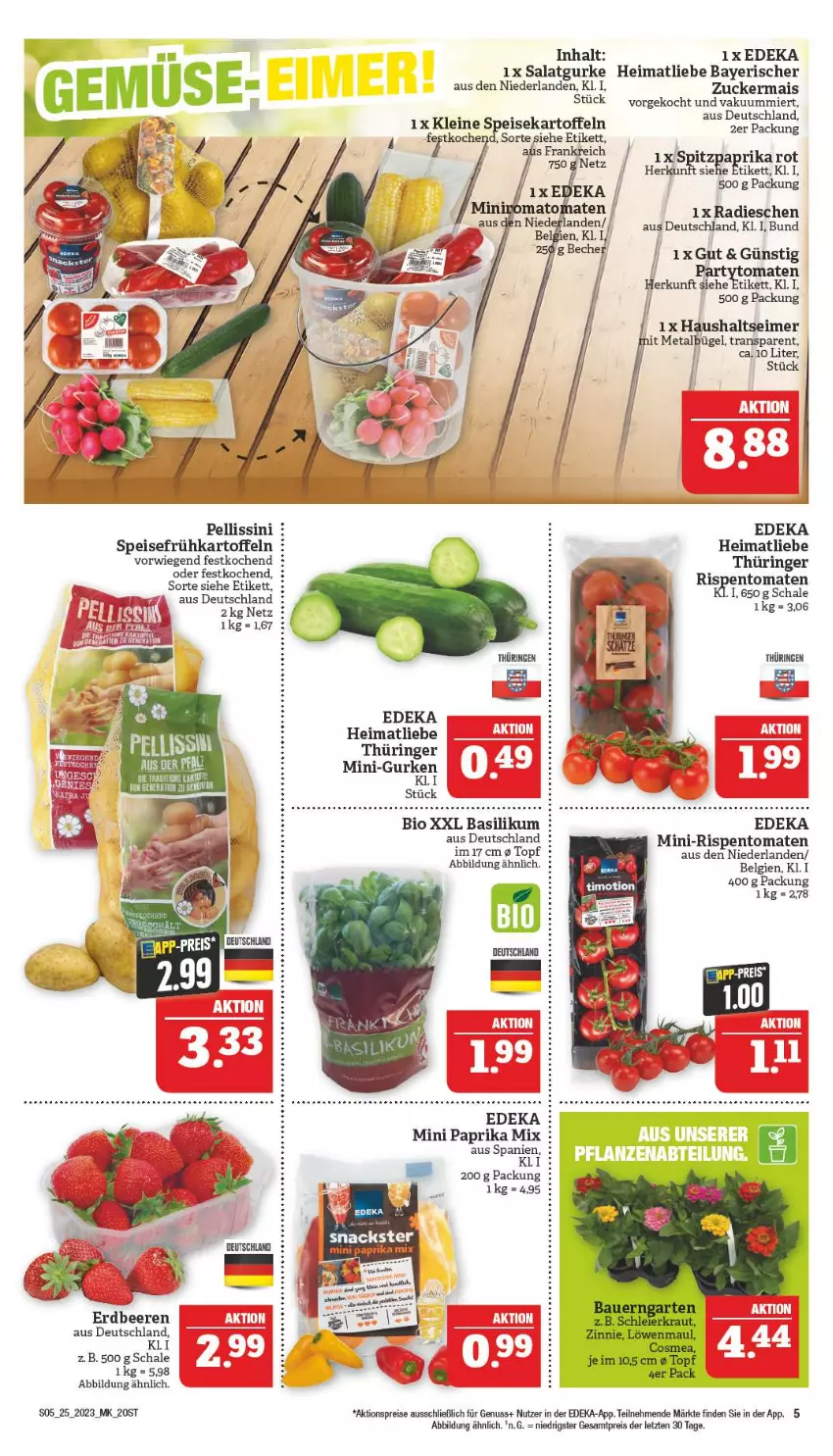 Aktueller Prospekt Marktkauf - Prospekt - von 18.06 bis 24.06.2023 - strona 5 - produkty: aktionspreis, basilikum, beere, beeren, bio, deka, eis, erdbeere, erdbeeren, Frühkartoffeln, gurke, gurken, kartoffel, kartoffeln, leine, LG, mais, mini-gurken, mini-rispentomaten, nuss, paprika, paprika mix, paprika rot, radieschen, reis, ring, rispentomaten, salat, Salatgurke, Schal, Schale, speisefrühkartoffeln, speisekartoffeln, Spitzpaprika, Ti, tomate, tomaten, topf, ZTE, zucker, zuckermais