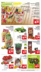 Gazetka promocyjna Marktkauf - Prospekt - Gazetka - ważna od 24.06 do 24.06.2023 - strona 5 - produkty: aktionspreis, basilikum, beere, beeren, bio, deka, eis, erdbeere, erdbeeren, Frühkartoffeln, gurke, gurken, kartoffel, kartoffeln, leine, LG, mais, mini-gurken, mini-rispentomaten, nuss, paprika, paprika mix, paprika rot, radieschen, reis, ring, rispentomaten, salat, Salatgurke, Schal, Schale, speisefrühkartoffeln, speisekartoffeln, Spitzpaprika, Ti, tomate, tomaten, topf, ZTE, zucker, zuckermais