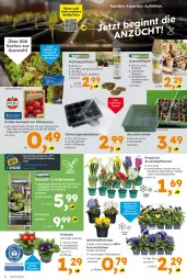 Gazetka promocyjna  - Gazetka - ważna od 21.02 do 21.02.2026 - strona 2 - produkty: beispielabbildung, beutel, Blüte, eis, erde, Gewächshaus, kokos, kräuter, kräutern, Narzissen, Primeln, Ria, sac, Schal, Schale, Spezi, Ti, topf, Topfen, trauben, zwiebel
