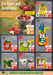 Gazetka promocyjna Edeka - Prospekte - Gazetka - ważna od 31.01 do 31.01.2026 - strona 10 - produkty: eimer, früchte, lebensmittel, Ti