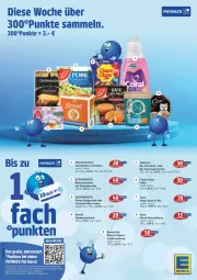 Gazetka promocyjna Edeka - Prospekte - Gazetka - ważna od 31.01 do 31.01.2026 - strona 4 - produkty: bio, brandt, camembert, chupa, chupa chups, Coral, dip, eis, Garten, gorgonzola, Käse, Markenzwieback, Nassnahrung, nuss, Old Amsterdam, penne, purina, reis, sahne, schnittkäse, tee, teekanne, Ti, torte, tortelloni, Trockennahrung