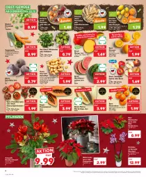 Gazetka promocyjna Kaufland - Gazetka - ważna od 28.12 do 28.12.2022 - strona 6 - produkty: angebot, asti, clementinen, eis, elle, feldsalat, fleisch, kartoffel, kartoffeln, mango, melone, möhren, nuss, obst, orange, orangen, orchidee, Papaya, petersilie, pflanze, pflanzen, rispentomaten, rosen, Rosenkohl, rote bete, saft, salat, suppe, suppen, tafeläpfel, Ti, tisch, tomate, tomaten, topf, topf ø 12 cm, übertopf, Vase, wasser, Weihnachtsstern, zitrone, zitronen, ZTE, zwiebel, zwiebeln