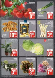 Gazetka promocyjna Edeka - Prospekte - Gazetka - ważna od 08.06 do 08.06.2024 - strona 6 - produkty: eis, eisbergsalat, hortensie, Lauchzwiebel, lauchzwiebeln, reis, rispentomaten, salat, spargel, Ti, tomate, tomaten, ZTE, zwiebel, zwiebeln