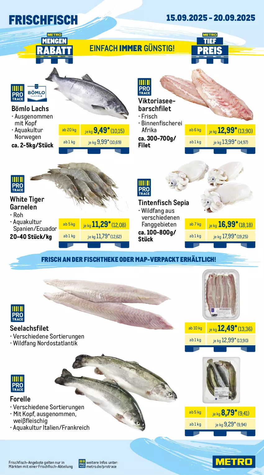 Aktueller Prospekt Metro - Wochen-Angebote Gastro - von 15.09 bis 20.09.2025 - strona 5 - produkty: Abtei, angebot, angebote, aqua, beef, eis, elle, entrecôte, filet, fisch, fische, Fischer, fischtheke, fleisch, forelle, frischfisch, garnelen, lachs, lachsfilet, Metro, rel, Ria, rind, rinder, rinderfilet, roastbeef, rwe, Schere, seelachsfilet, sim, steak, steakhüfte, Ti, Wild