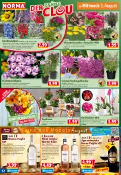 Gazetka promocyjna Norma - Norma - Gazetka - ważna od 08.08 do 08.08.2022 - strona 12 - produkty: alkohol, auer, blume, Blüte, Echinacea, flasche, flieder, frucht, früchte, früchten, harman, Kette, kirsch, kirsche, kirschen, kulturtopf, lamm, lavendel, LG, Lobelie, mac, merl, merlot, Mett, orange, orchidee, orchideen, oreo, pflanze, phalaenopsis, Pinot, pinot grigio, reifen, Ria, ritter, rum, sauerkirschen, Schmetterling, sim, spiegel, stauden, Ti, tisch, topf, übertopf, wein, weine, Weißwein