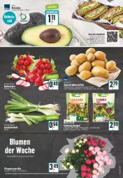 Gazetka promocyjna Edeka - Angebote der Woche - Gazetka - ważna od 25.06 do 25.06.2022 - strona 5 - produkty: angebot, avocado, avocados, beutel, blume, blumen, deutschlandcard, Lauchzwiebel, lauchzwiebeln, mehl, radieschen, salat, sandwich, snack, Ti, zwiebel, zwiebeln