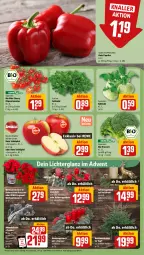 Gazetka promocyjna Rewe - Prospekte - Gazetka - ważna od 23.11 do 23.11.2024 - strona 7 - produkty: Adventskranz, bio, broccoli, coupon, dekoration, eis, feldsalat, Holz, kerze, kohlrabi, Kranz, paprika, reis, rispentomaten, rote tafeläpfel, salat, Schal, Schale, tafeläpfel, Ti, tomate, tomaten, topf, Weihnachtsstern